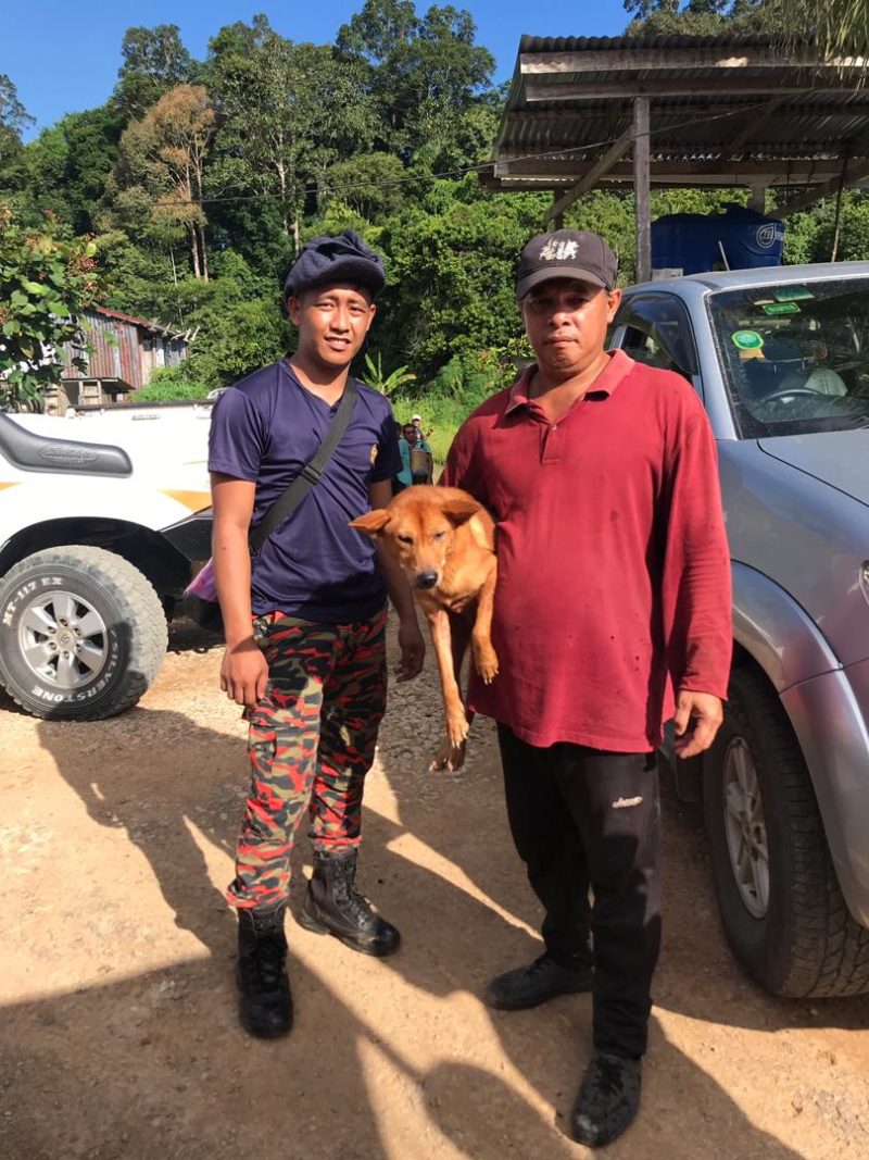 Anjing peliharaan lelaki warga emas bantu pasukan SAR ...