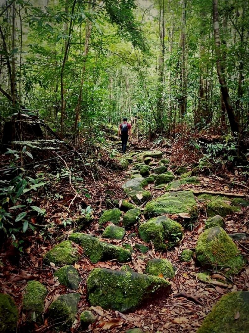 Grueling Tale To The Peak Of Bewitching Mt Santubong | DayakDaily