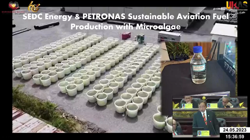 The Promising Future Of Microalgae: Sarawak Can Have More “farmers ...